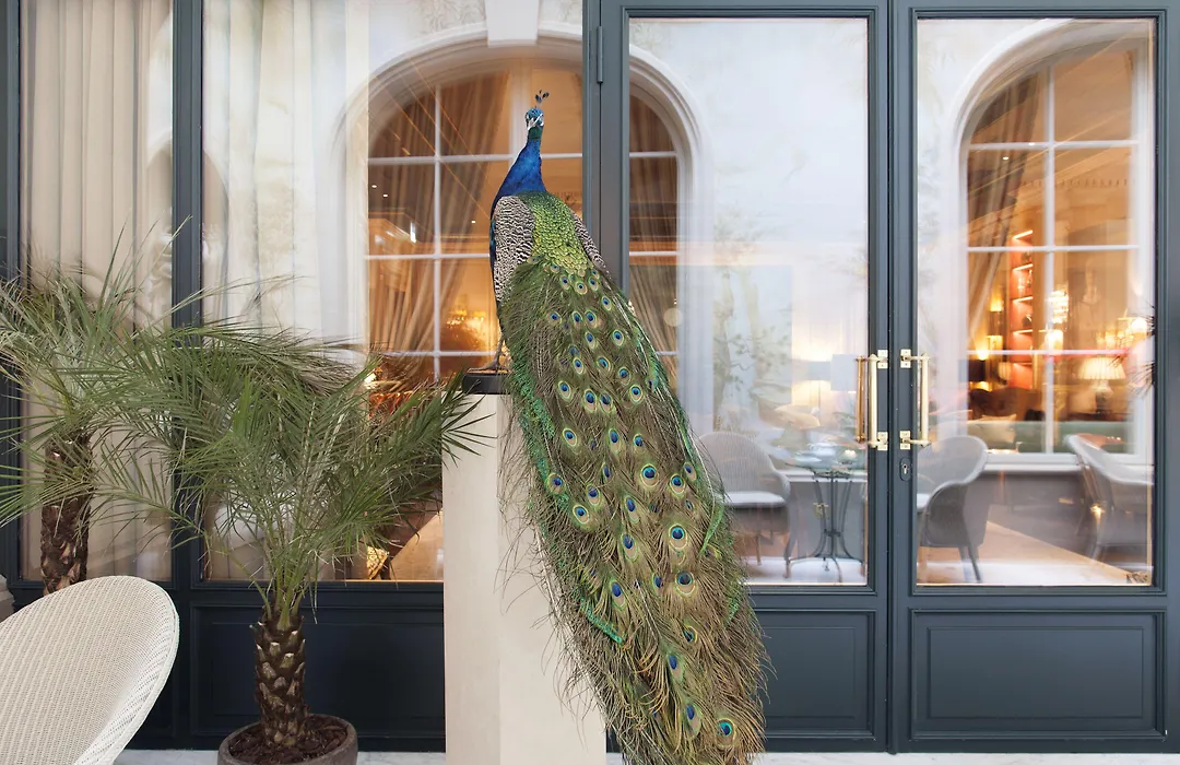 Le Bristol Paris, Oetker Hotels-1